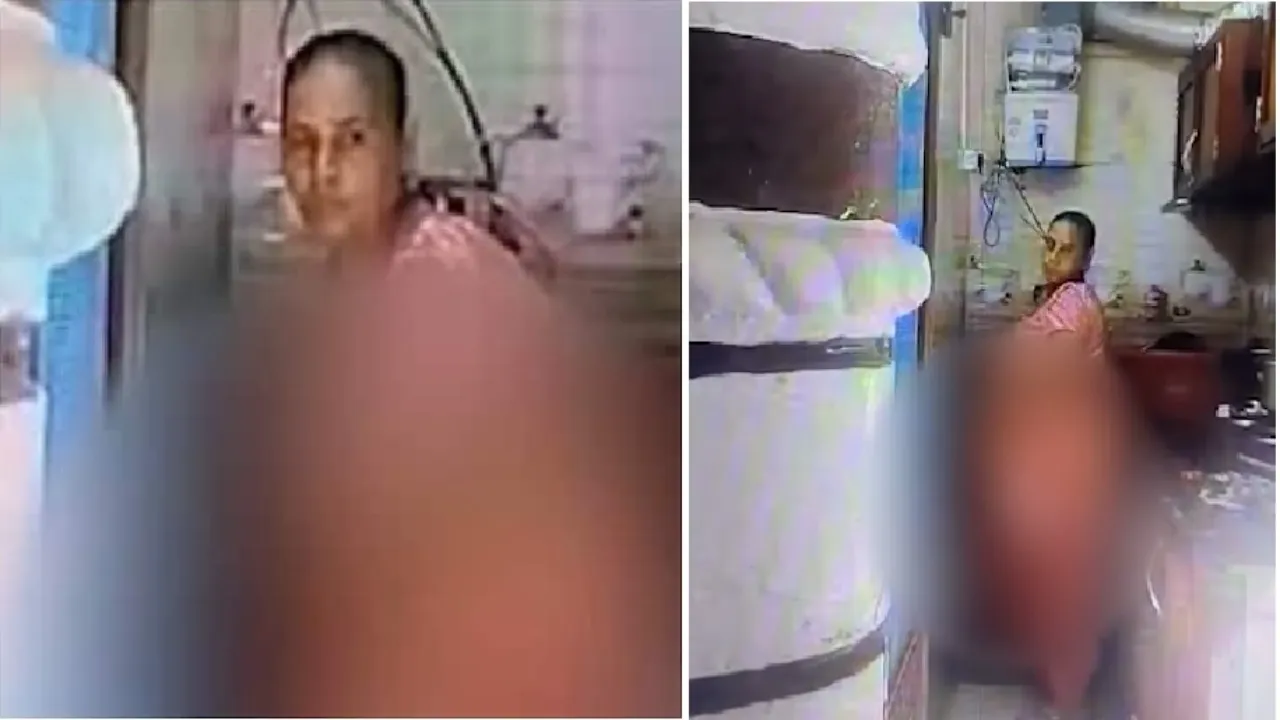 Bijnor: पुलिस ने पूछा बर्तनों पर क्यों छिड़का पेशाब? नौकरानी बोली दिमाग हो गया था खराब....