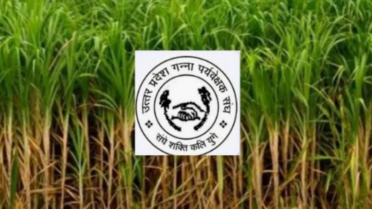लखनऊ: गन्ना पर्यवेक्षक संघ ने डिजिटल क्रॉप सर्वे से मुक्ति की उठाई मांग, कहा- नहीं है यह हमारा काम