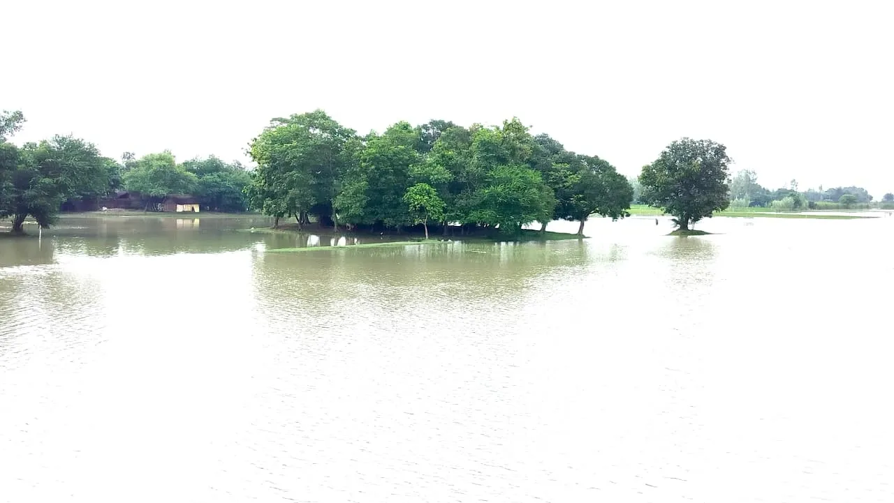 उत्तर प्रदेश में बाढ़ का कहर, गंगा उतर रही तो यमुना में उफान जारी