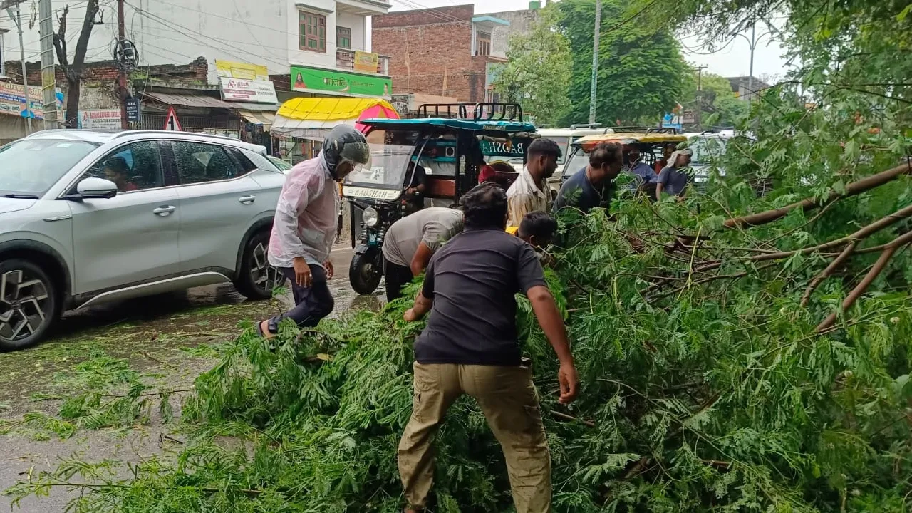 बाराबंकी पेड़ गिरा