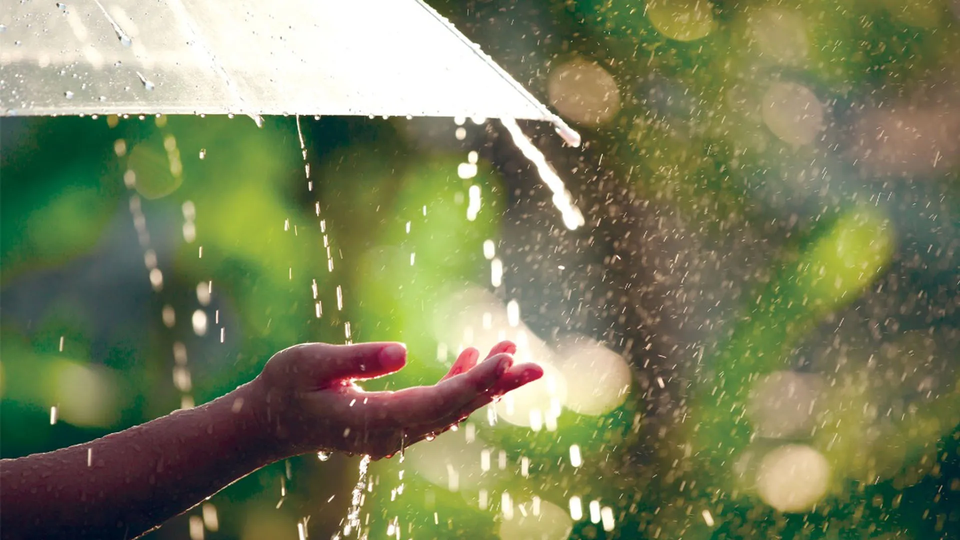 UP Monsoon: मौसम का यू-टर्न, कई जिलों में बारिश का ऑरेंज अलर्ट