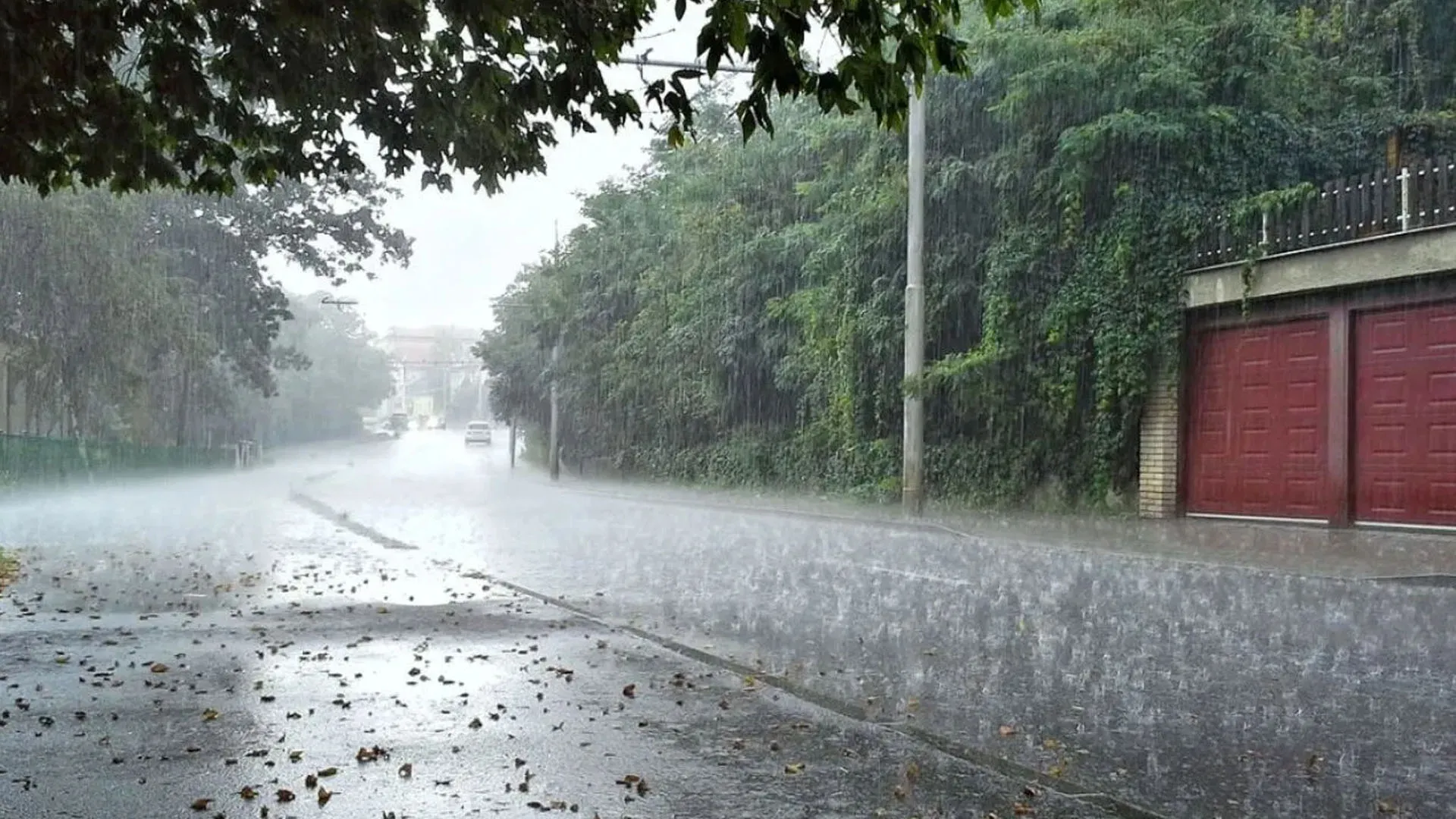 Bareilly : बारिश ने गर्मी से दी राहत...दो दिन बाद फिर भारी बारिश का अलर्ट