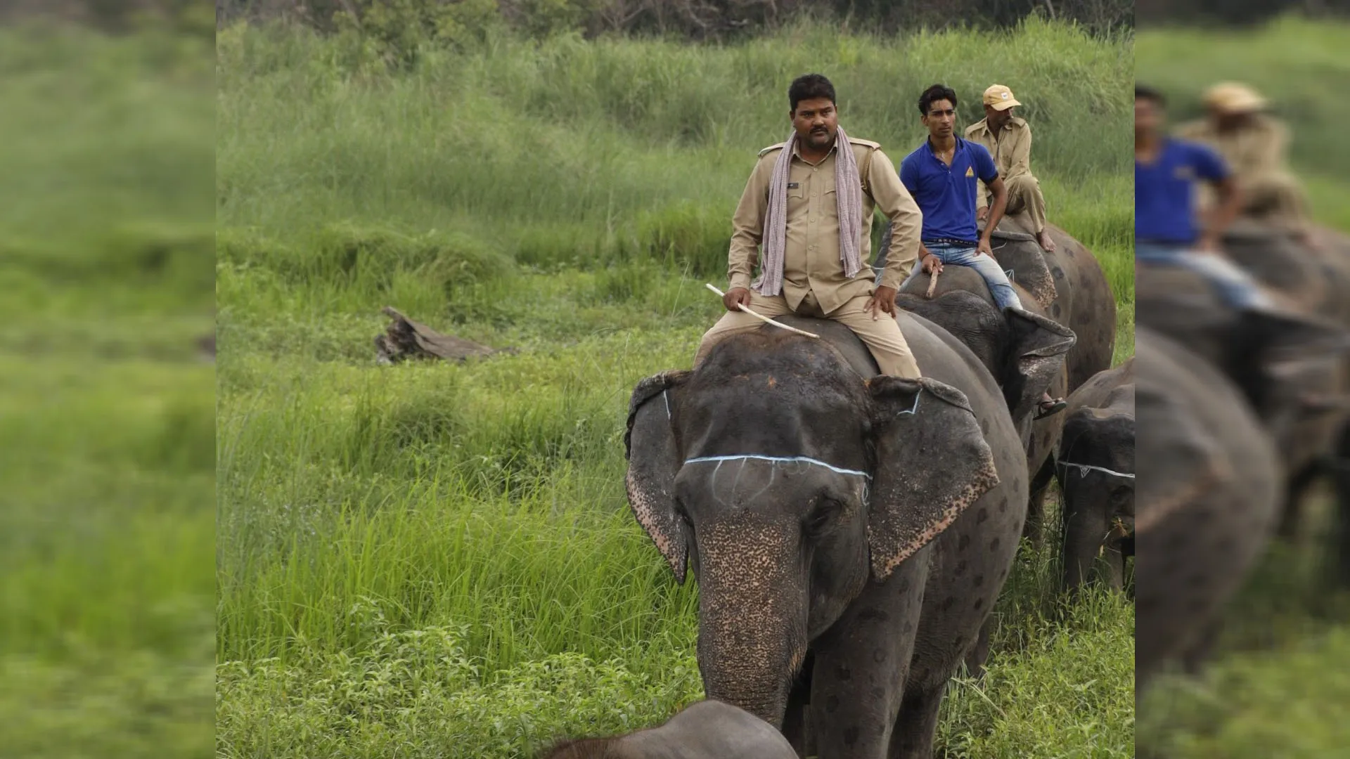 लखीमपुर खीरी: दुधवा के महावत इरशाद को मिलेगा गज गौरव सम्मान 