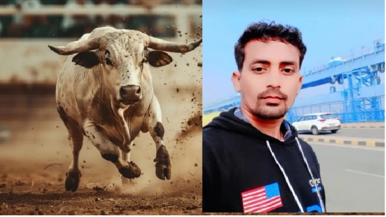  सड़क पर मौत : सांड़ ने बाइक सवार को पटककर मार डाला