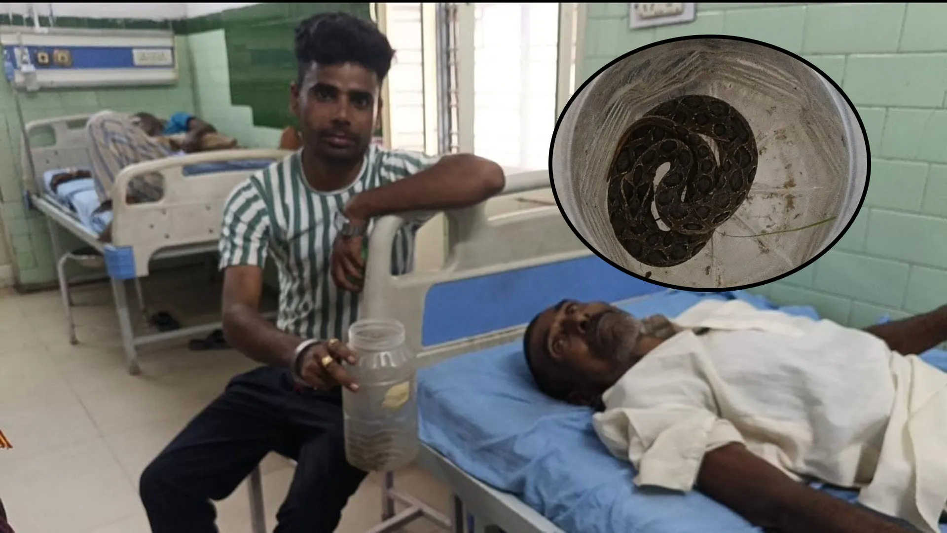 Bareilly : किसान डिब्बे में बंद सांप लेकर पहुंचा अस्पताल, चारा काटते वक्त डस लिया था