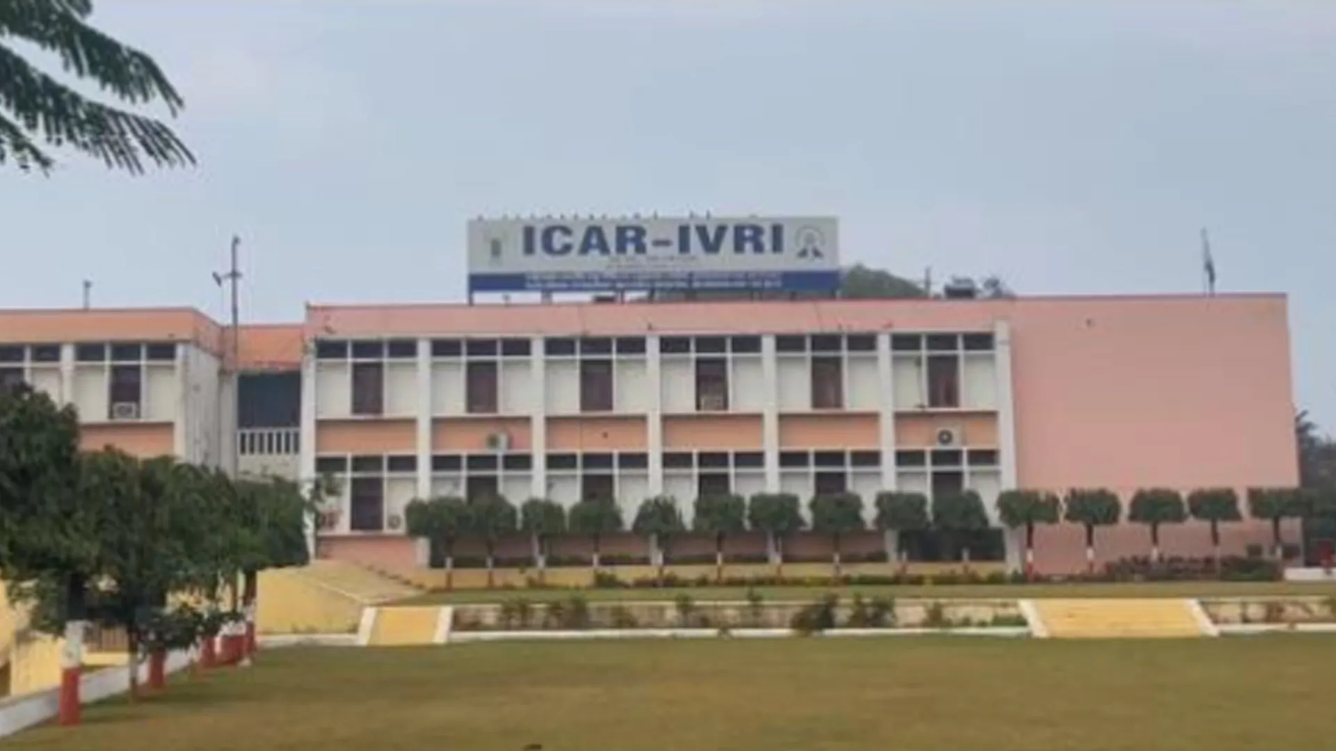 बरेली : एनआईआरएफ रैंकिंग में आईवीआरआई को देश में पांचवां स्थान