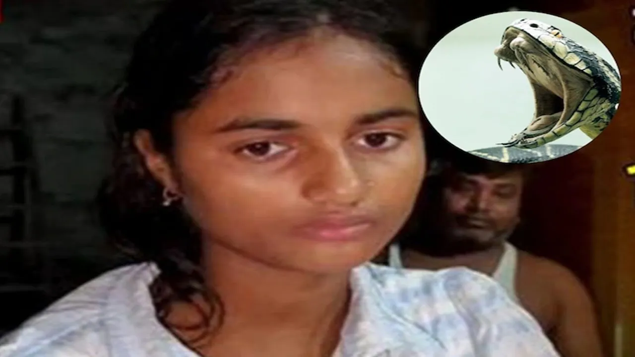 15 वर्षीय रिया को 40 दिनों में 7 बार सांप ने काटा, दहशत में परिवार, जानिए क्या बोले लोग 
