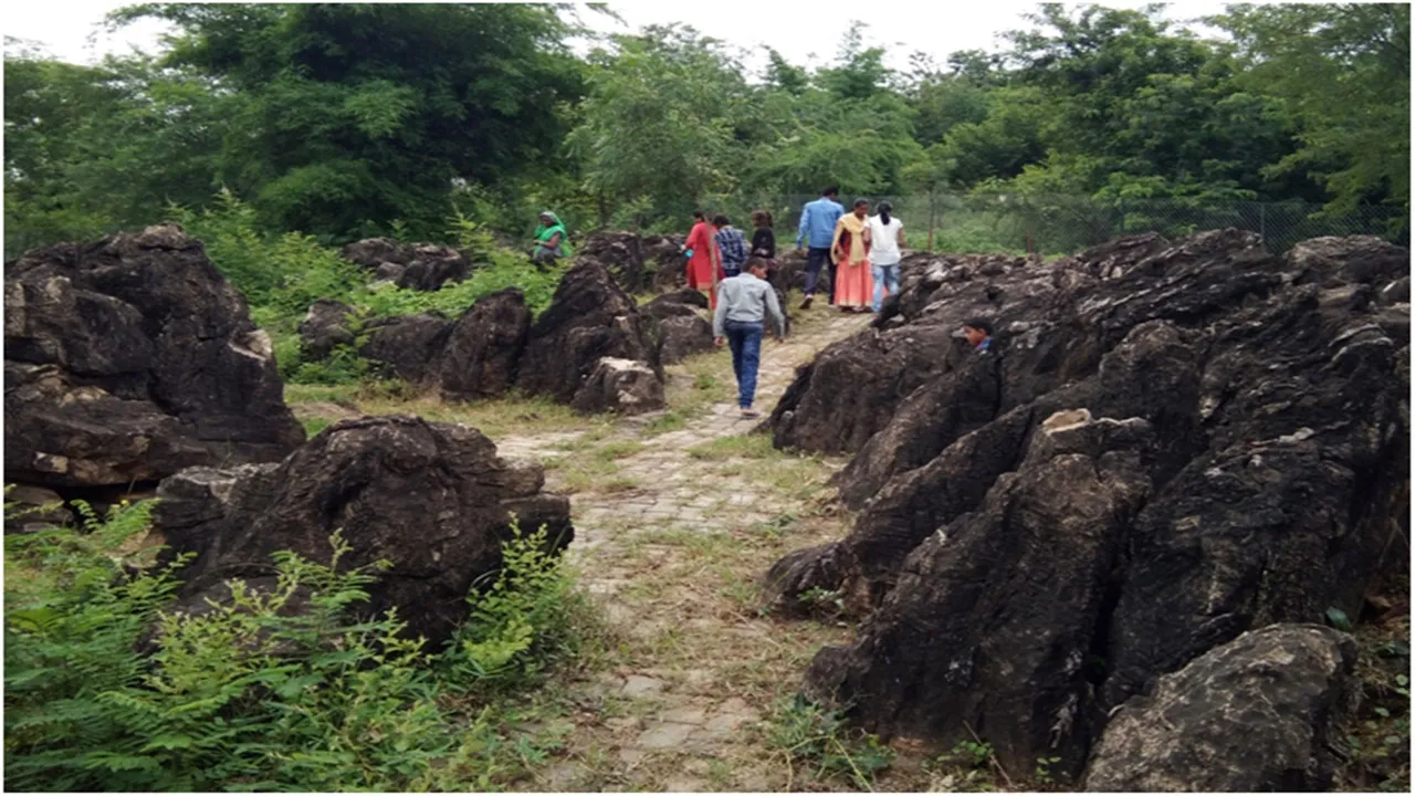 किसी अजूबे जैसी अमूल्य धरोहर है सलखन जीवाश्म पार्क 