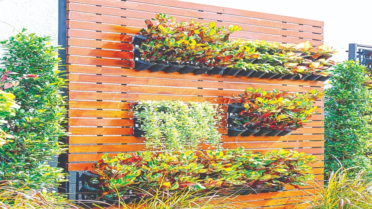 शब्द रंग : घरों में हरियाली का तरीका वर्टिकल गार्डनिंग