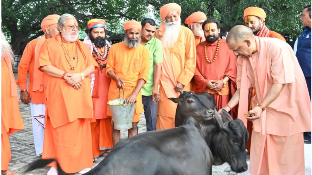Gorakhpur News: सीएम योगी ने की गोसेवा, भवानी और भोलू को दुलारा, पुंज को भी खिलाया गुड़