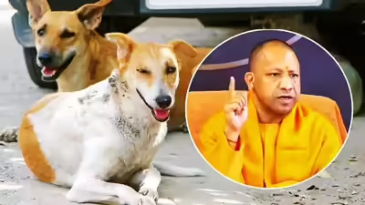 UP News: एक बार से ज्यादा बार काटने वाले कुत्तों को सरकारी आश्रय गृहों में रखेगी सरकार 