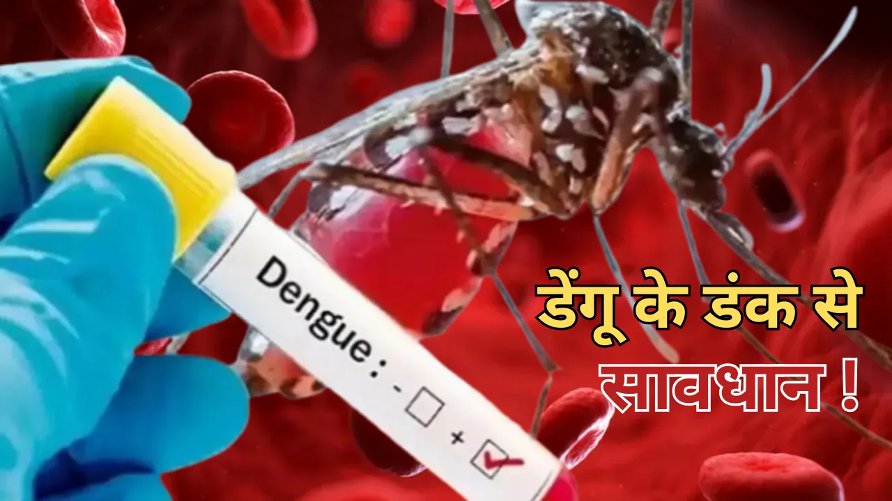 Health Alert: डेंगू को लेकर सतर्क रहे लोग, 10 हजार से कम हो तभी चढ़वाएं प्लेटलेट्स, जानें क्या बोले डॉक्टर