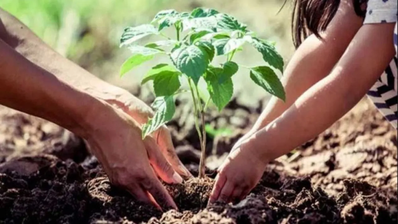 Teacher's Day: शिक्षकों के सम्मान में ''एक पेड़ गुरु के नाम''... मुख्यमत्री योगी के निर्देश पर वन विभाग ने बनाई कार्ययोजना
