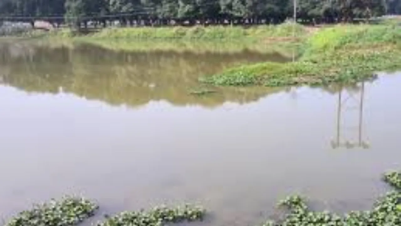 तालाबों को अमृत सरोवर के रूप में विकसित करें जिला पंचायतें, पंचायती राज मंत्री बोले- रेन वाटर हार्वेस्टिंग को दें प्राथमिकता 