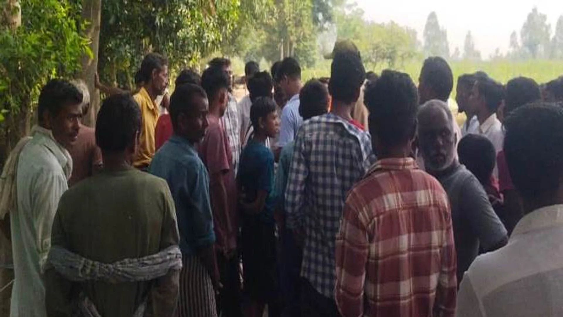 पीलीभीत: गन्ने के खेत में भैंस को खींच ले गया बाघ, ग्रामीणों में वन विभाग के खिलाफ आक्रोश