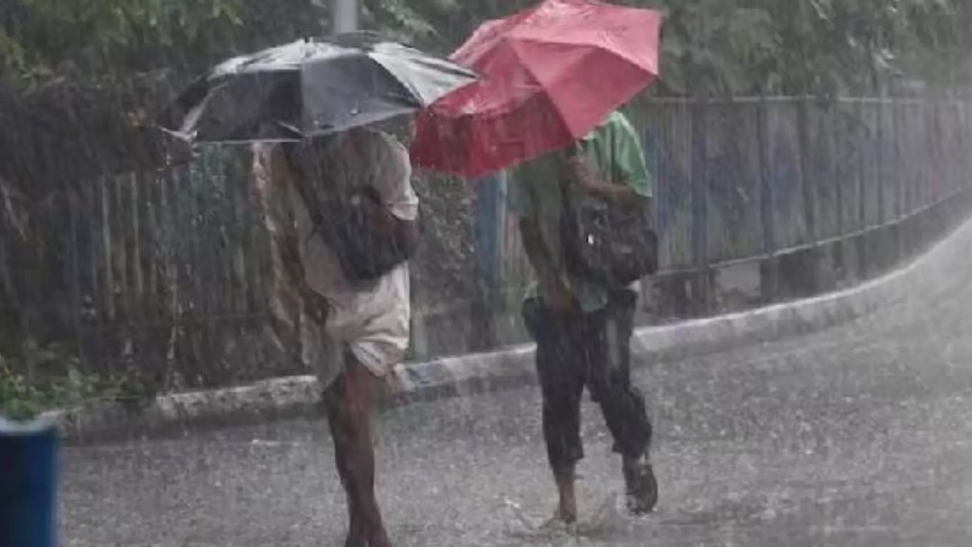 लगातार तीसरे दिन बारिश से जनजीवन अस्त-व्यस्त, बढ़ी मुश्किलें, विद्यालयों में घोषित किया अवकाश