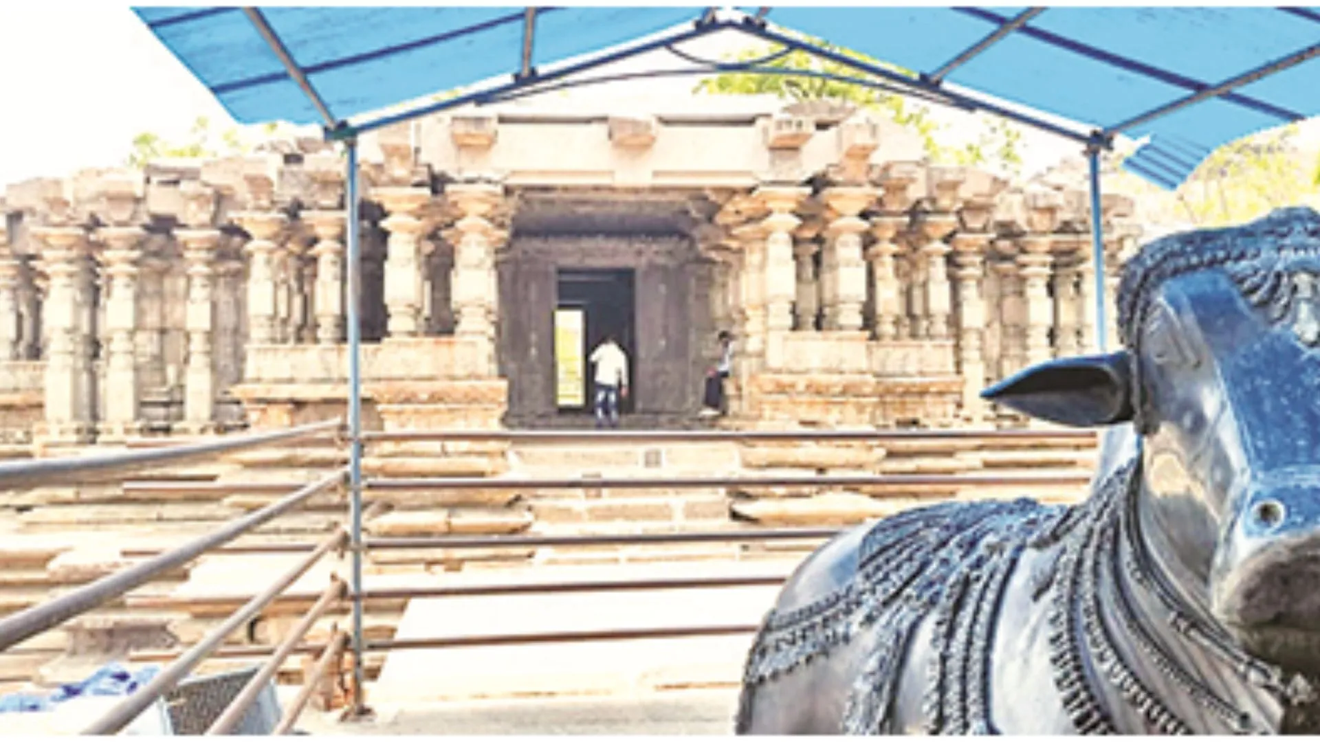 Untitled design (17)