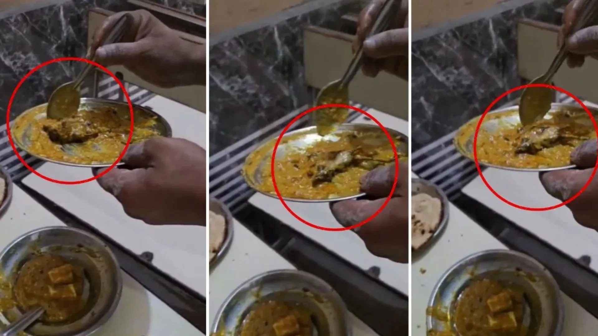 पनीर की सब्जी में मरा चूहा...बदायू में एक ढाबे के खाने में अजीब सी चीज देख ग्राहक के उड़े होश, सामने आया वीडियो