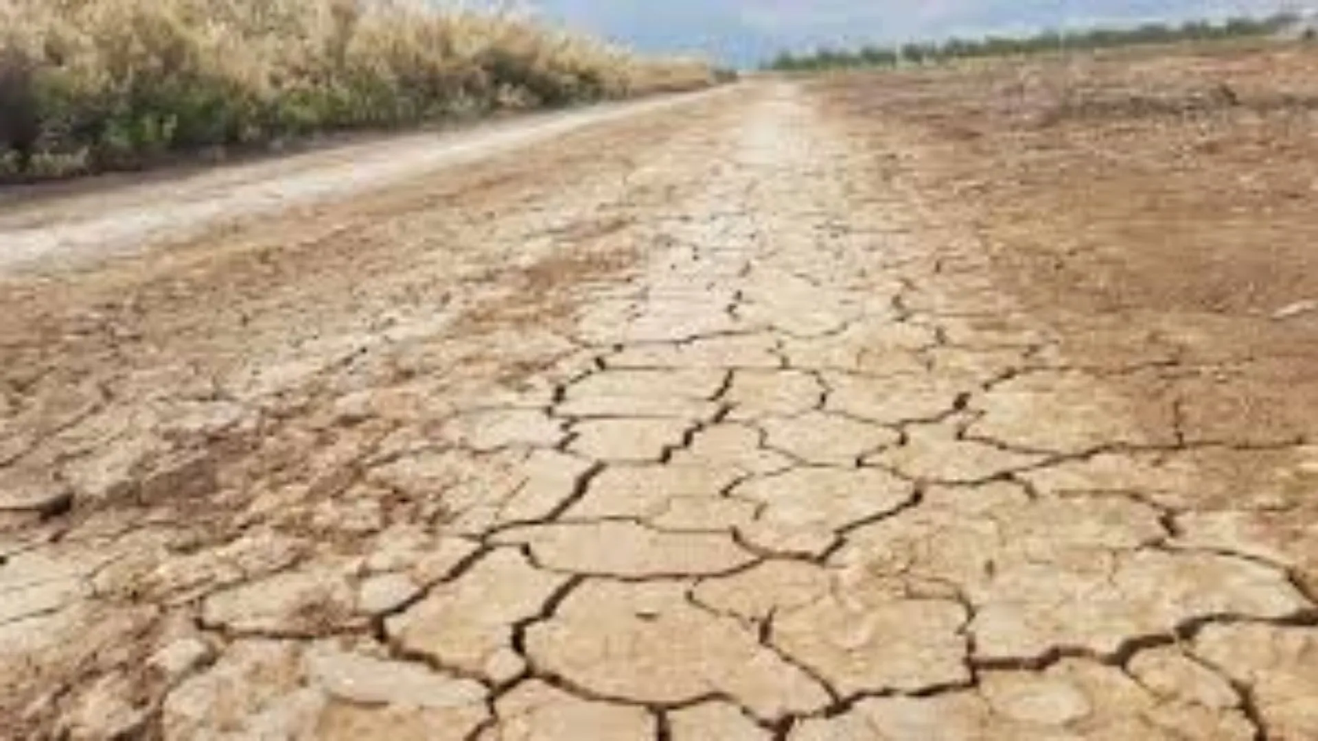 सूखे से निपटने के लिए भारत में इजराइल की इस टेक्नोलॉजी का होगा इस्तेमाल, तेल अवीव में सीखेगी इंडियन एक्सपर्ट्स  की टीम   