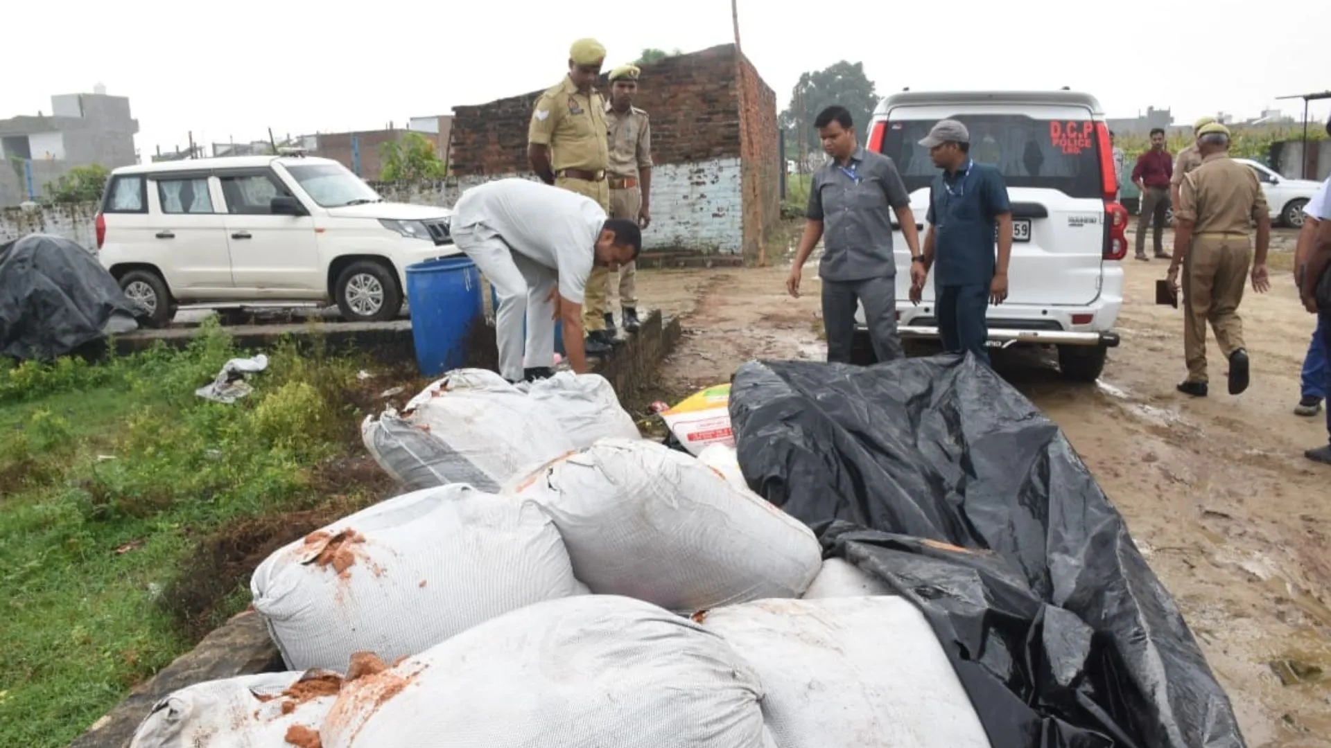 Untitled design (24)