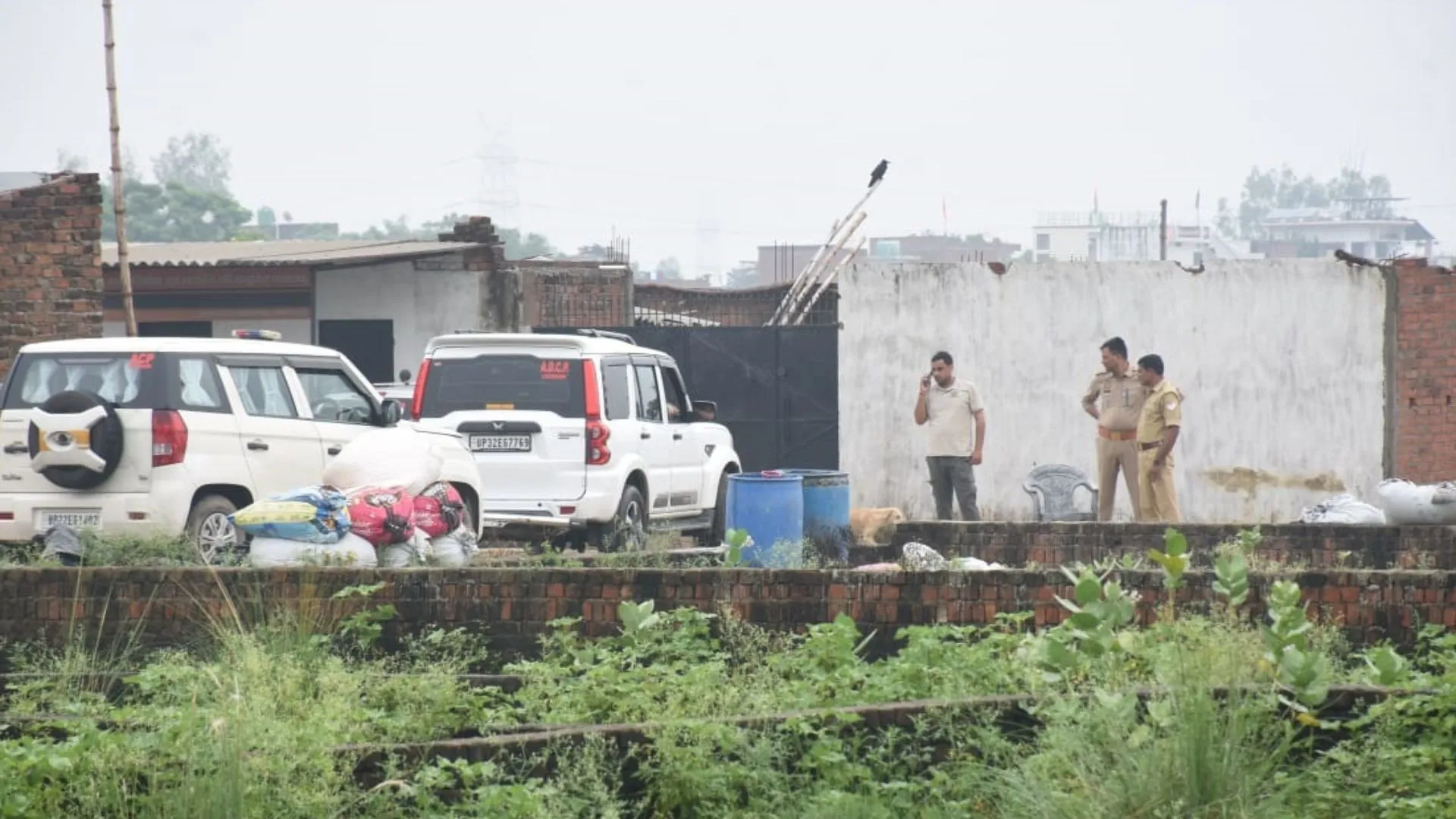 Untitled design (26)