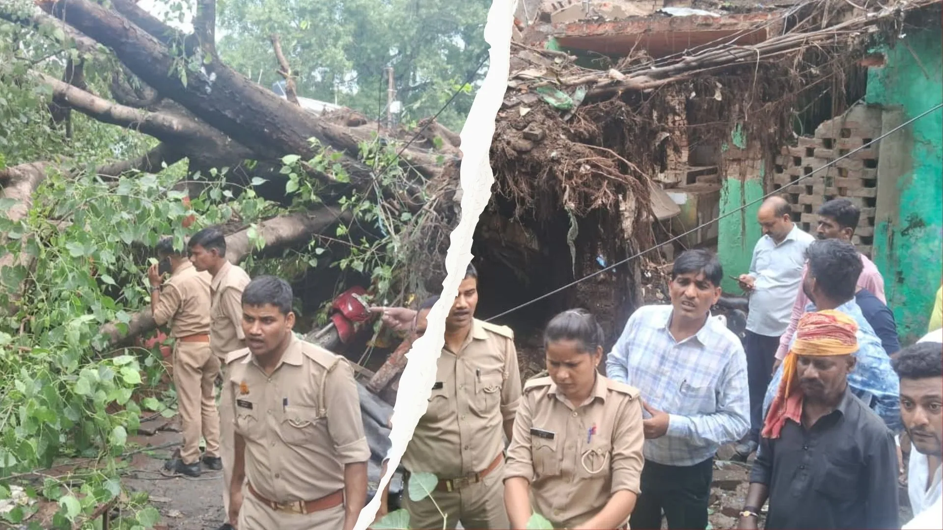 लखनऊ में दो मकानों पर गिरा विशाल वृक्ष, तीन लोग दबे-एक की मौत! हादसे से मचा हाहाकार 