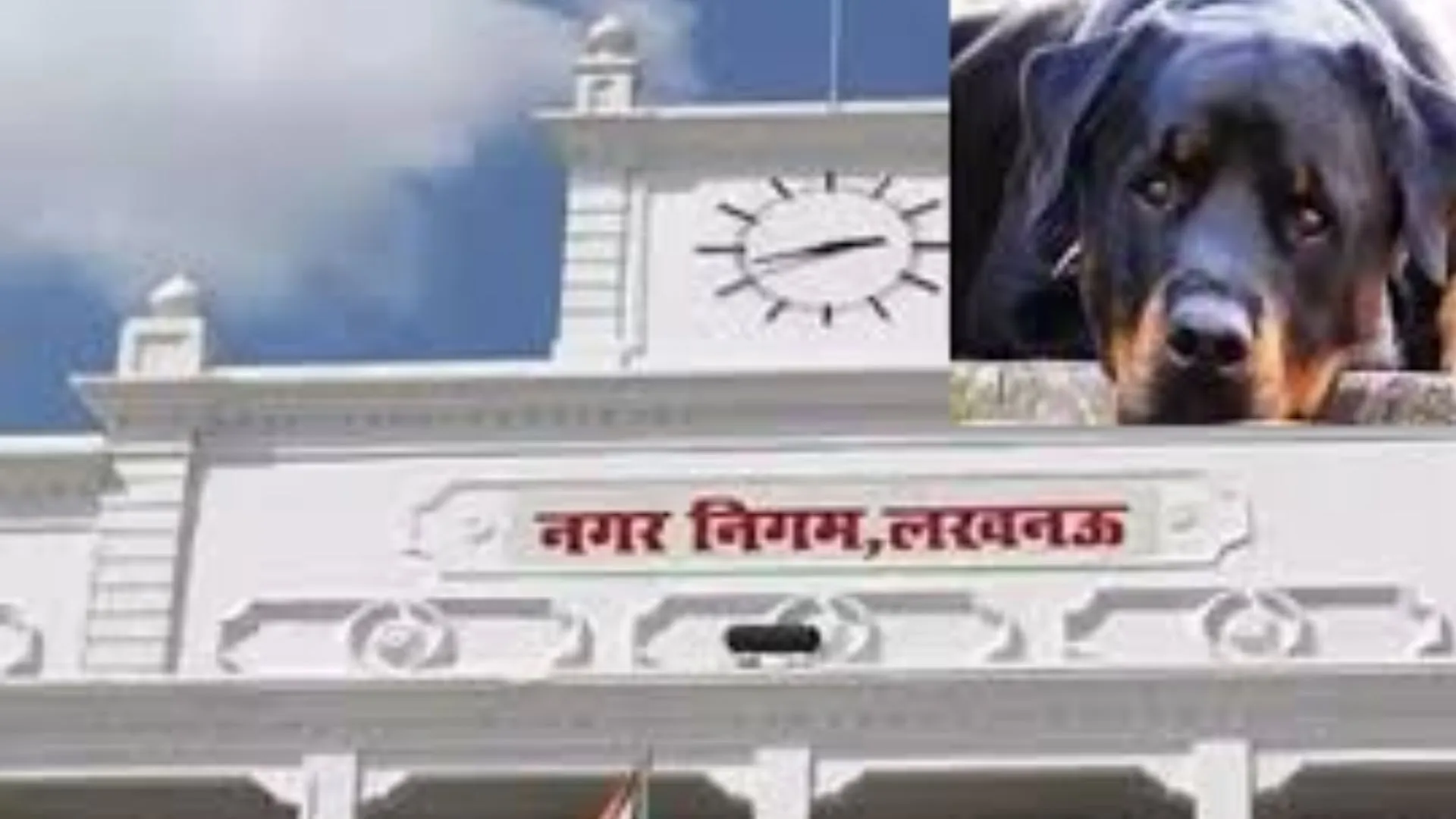 लखनऊ में शुरू हुआ देश का पहला ABC प्रशिक्षण केंद्र, नगर निगम देगा प्रशिक्षण