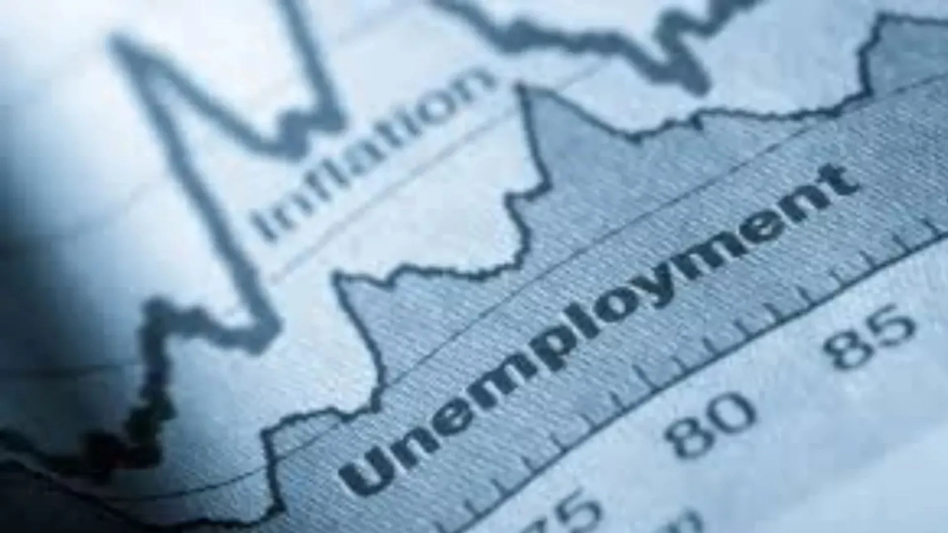 देश में लगातार दूसरे महीने घटी बेरोजगारी दर:  अगस्त में 5.1% पर आई, सरकारी सर्वे में महिलाओं की भागीदारी में बढ़ोत्तरी  