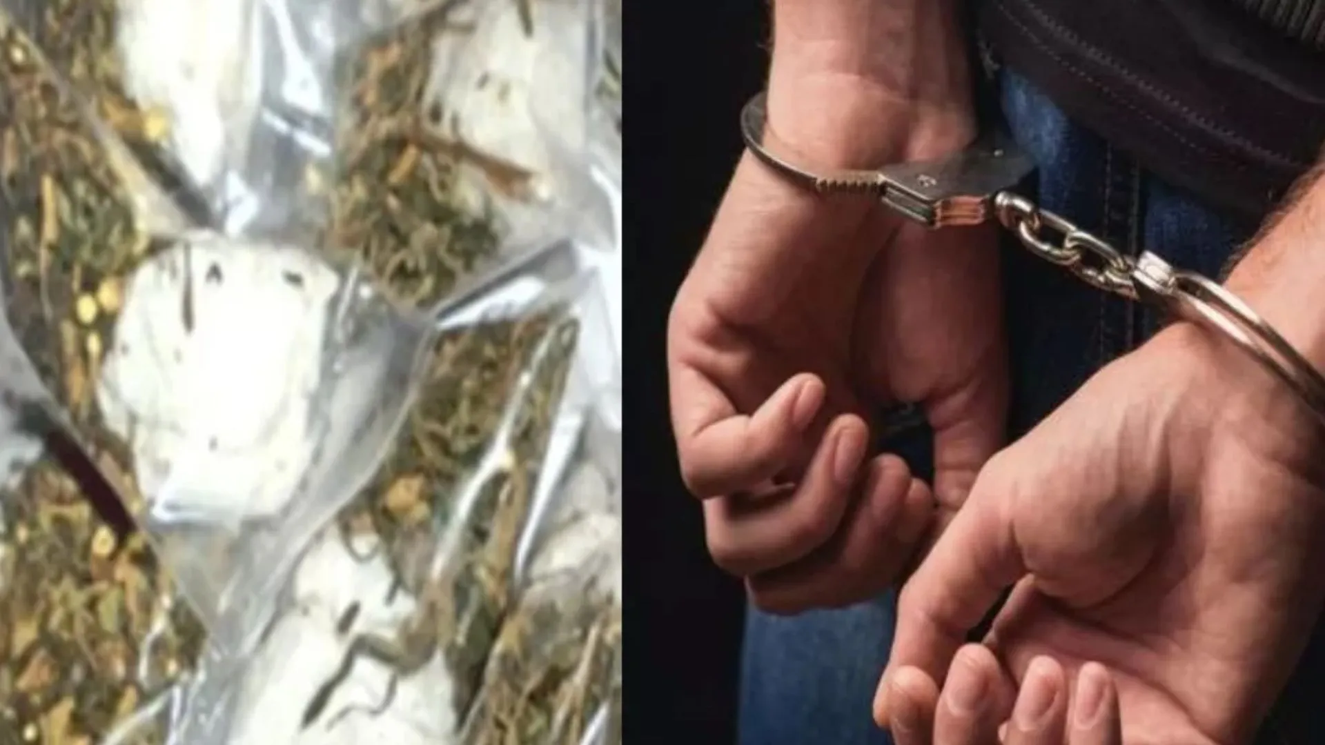 यूपी सरकार लिखी कार से 34 किलो गांजा बरामद: लखनऊ STF ने तलाशी अभियान चलकर किया पिता पुत्र को गिरफ्तार 