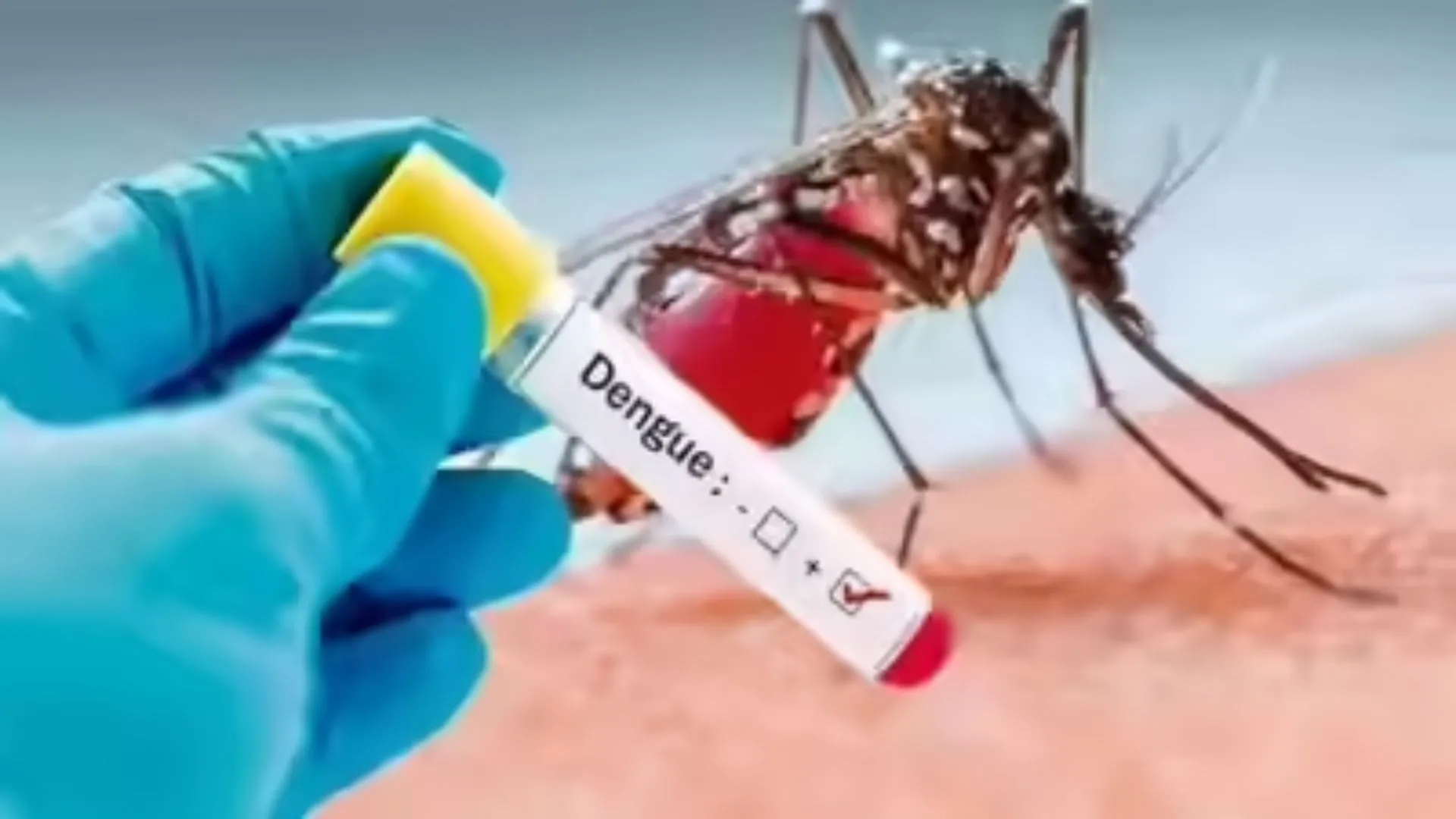 इस वर्ष शहर में डेंगू की आशंका कम..पर बरतें सावधानी, एंटी लार्वा छिड़काव और फॉगिंग कर लोगों को किया जा रहा  जागरूक 