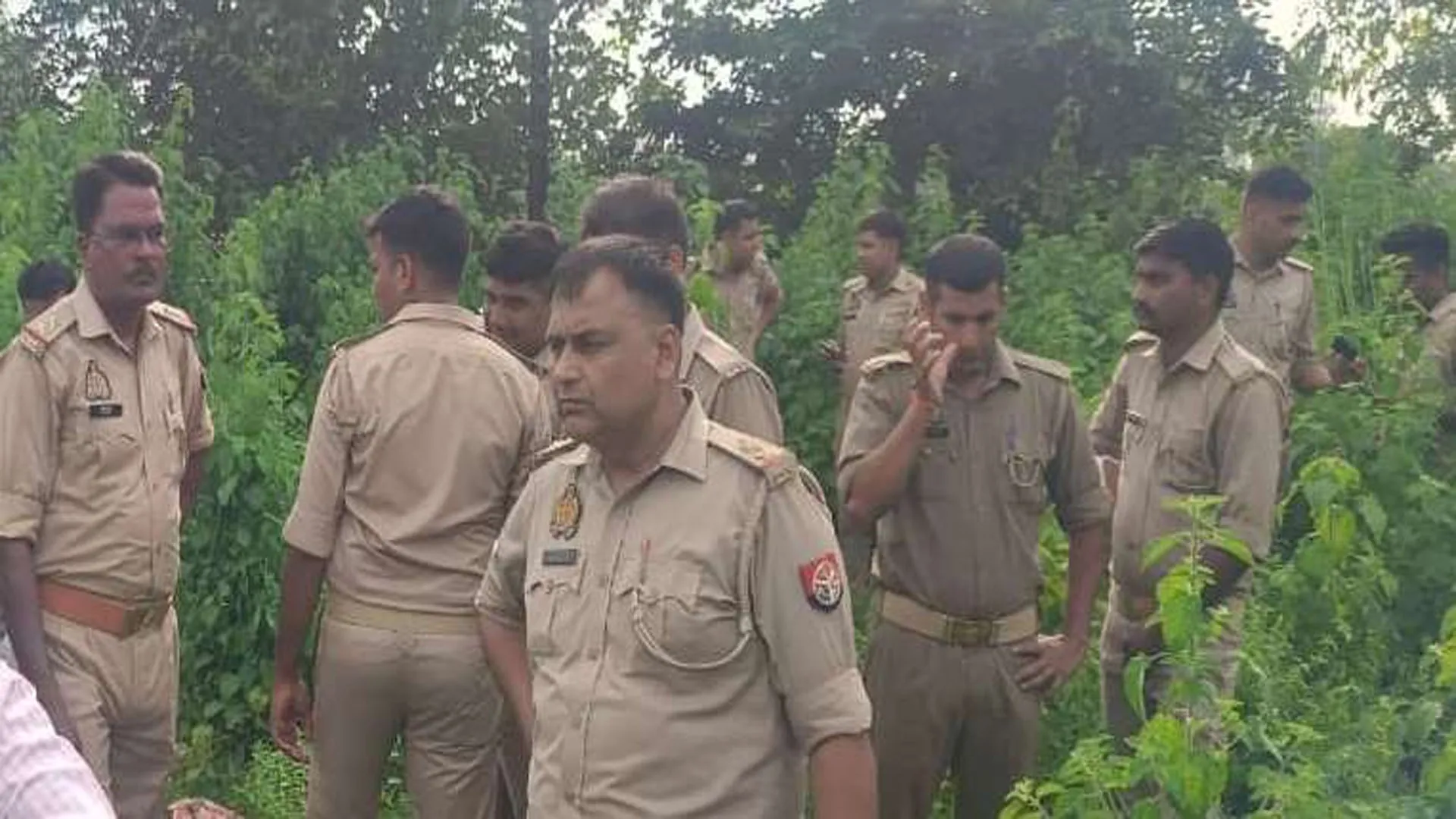 पीलीभीत: फिर सक्रिय हुए गोमांस तस्कर, कटना पुल के पास की गोकशी से फूले पुलिस के हाथ-पांव