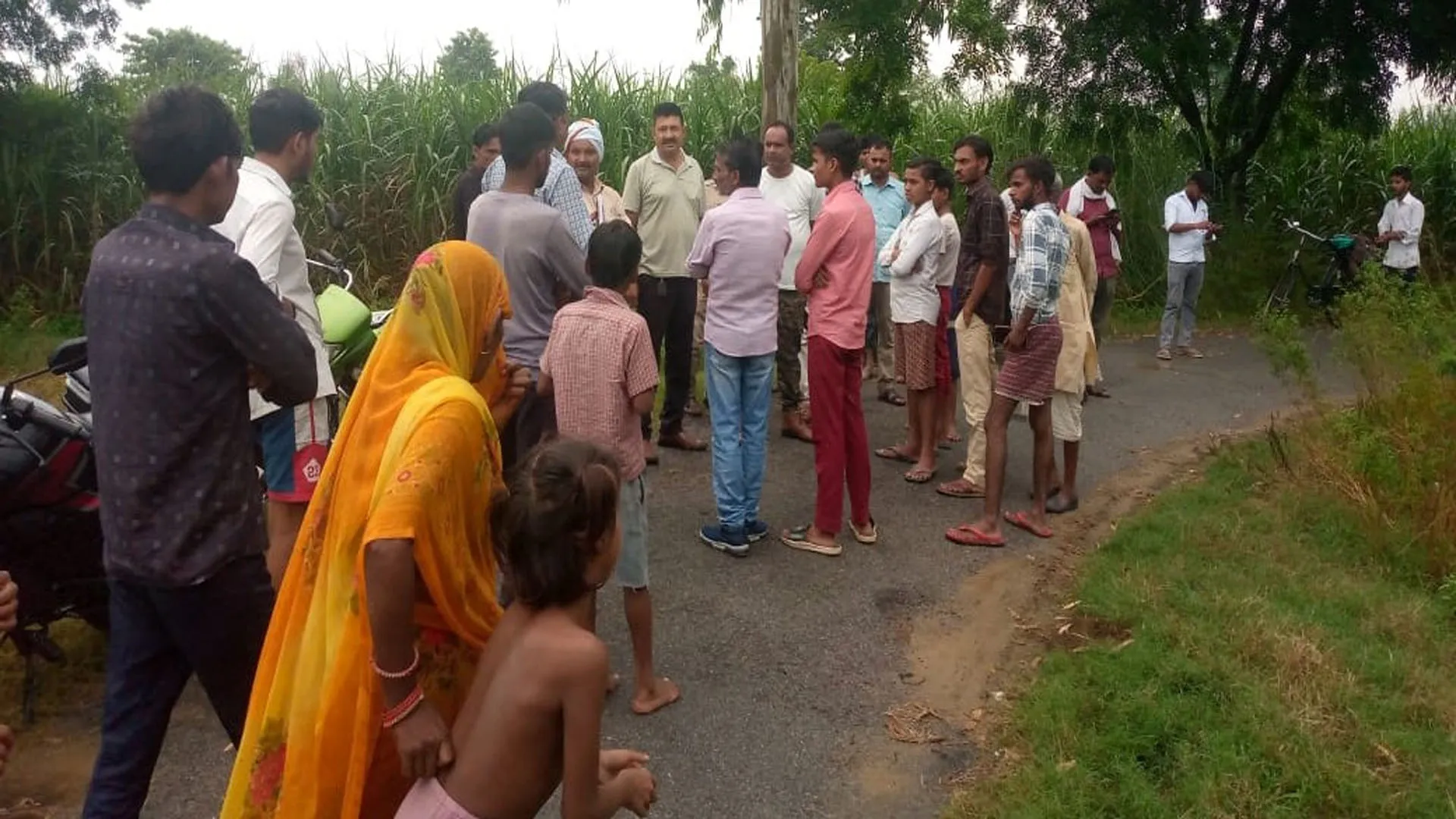 लखीमपुर खीरी : बेहजम क्षेत्र में टाइगर के पगमार्क मिलने से हड़कंप