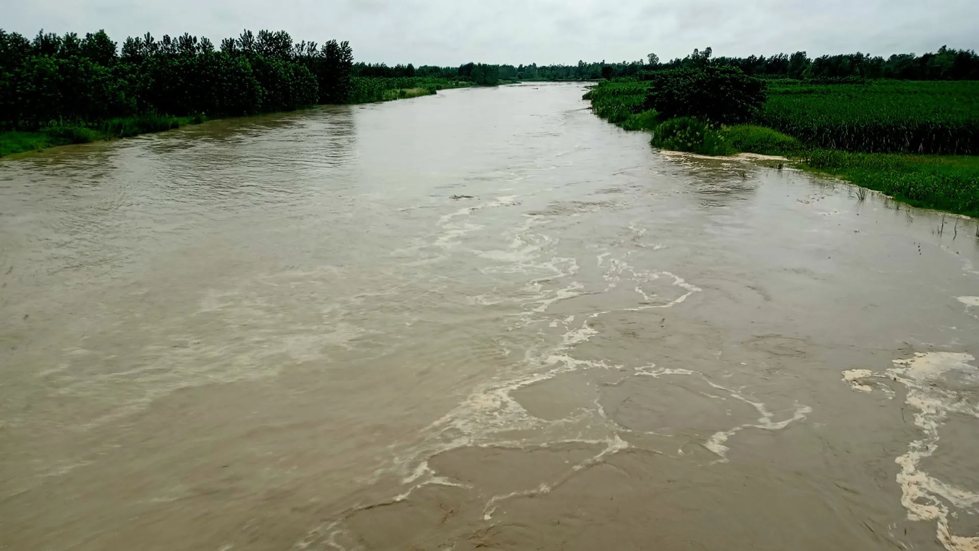 Bareilly : उफनाई नदियों ने शुरू की तबाही, किसानों की फसलें नदी में समाईं