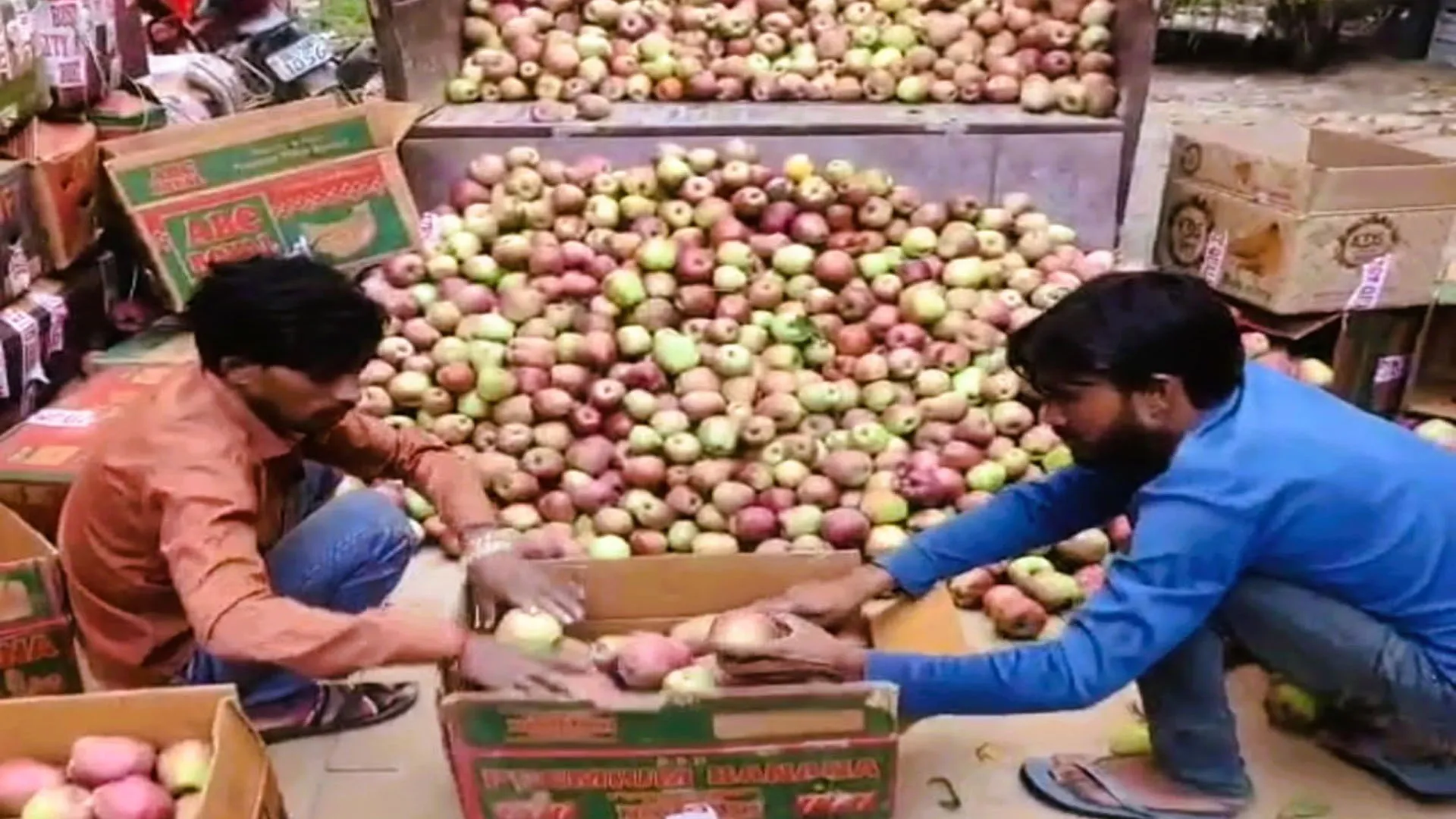 Moradabad news: जम्मू कश्मीर, हिमाचल और पंजाब की बाढ़ ने बिगाड़ा सेब का स्वाद