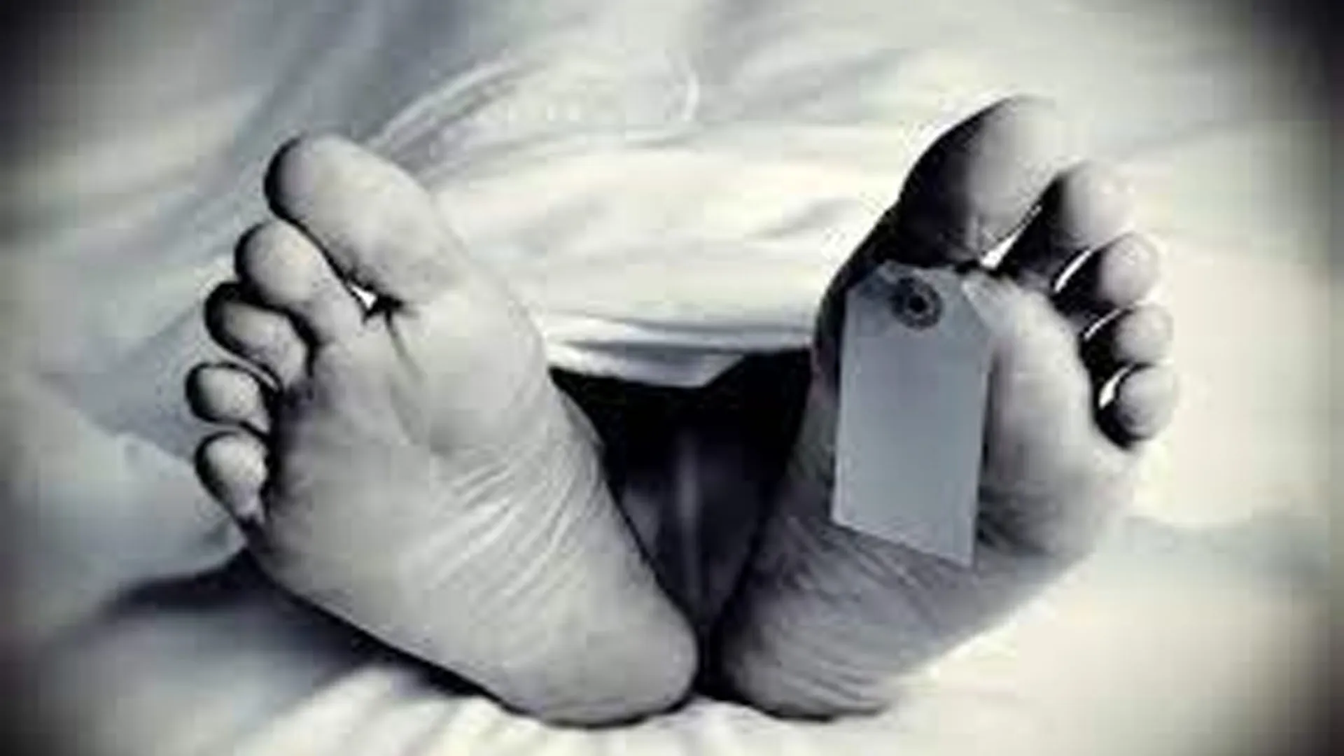 Bahraich News : कतर्नियाघाट जंगल में हाथियों के आतंक, हमले में नेपाली महिला की मौत 