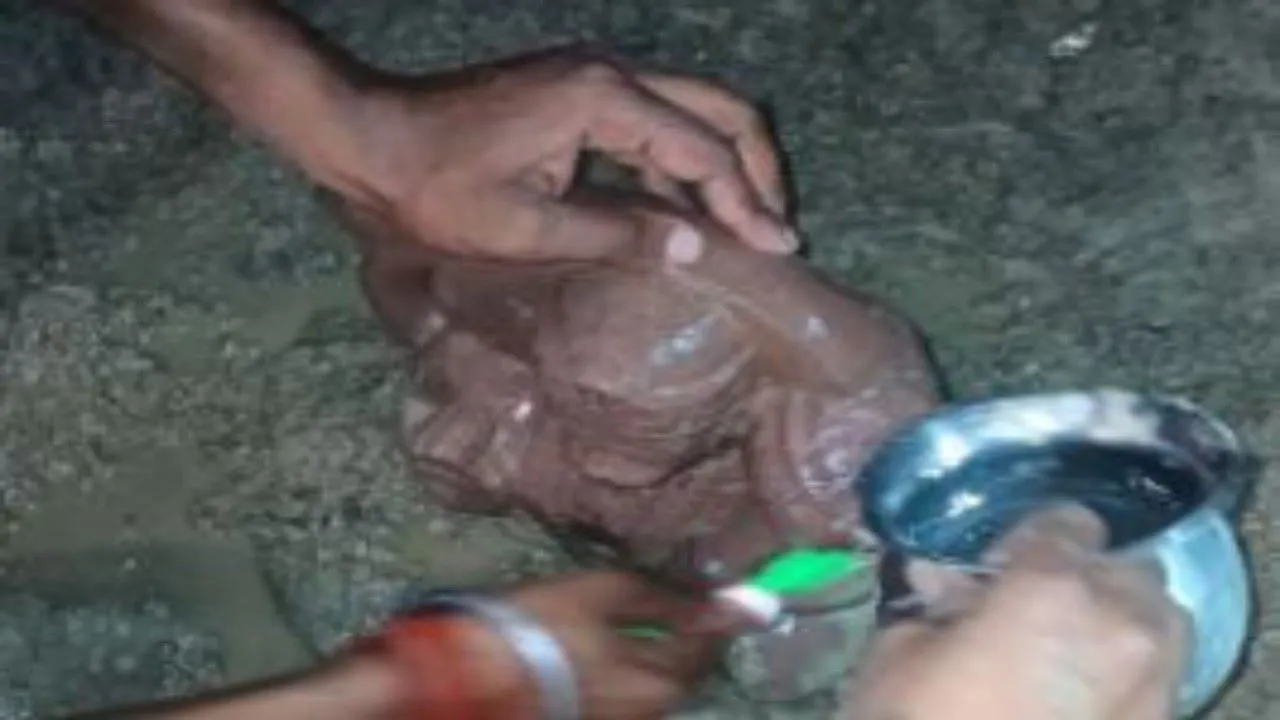 UP : तालाब से प्रकट हुये हनुमानजी, दर्शन के लिए उमड़ी भीड़