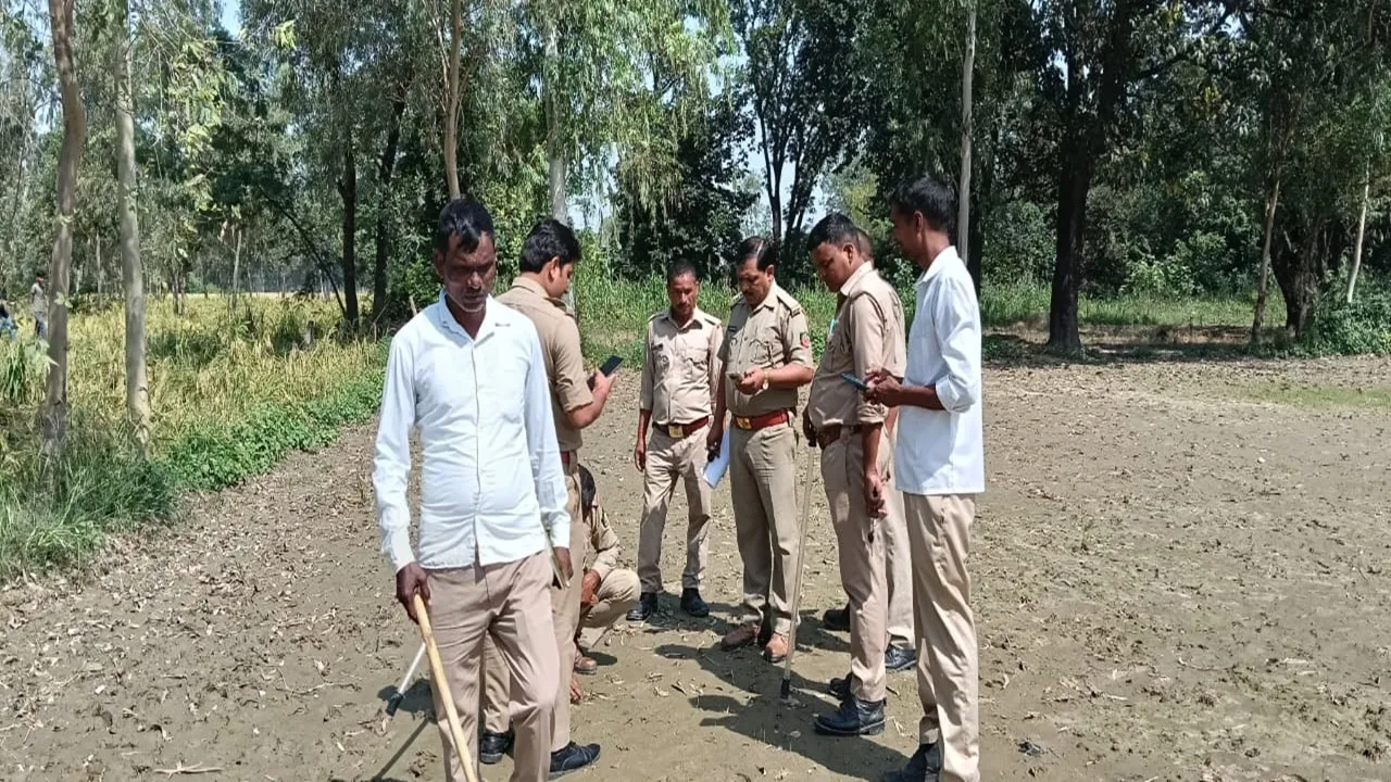 बाराबंकी : जंगली जानवर ने एक और बछड़े को बनाया निवाला, कांबिंग जारी, ग्रामीणों में दहशत का माहौल