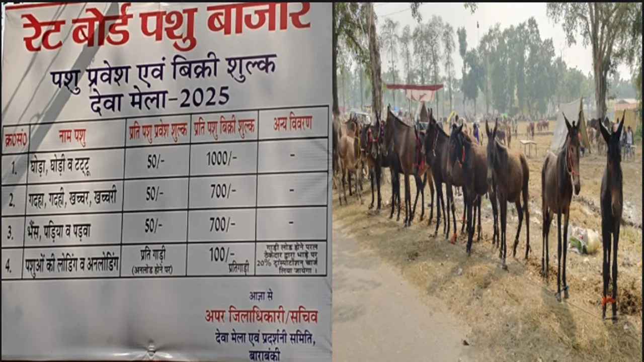 बाराबंकी : ठेकेदारों की मनमानी से व्यापारी परेशान, तय दरों से कई गुना अधिक वसूली का आरोप