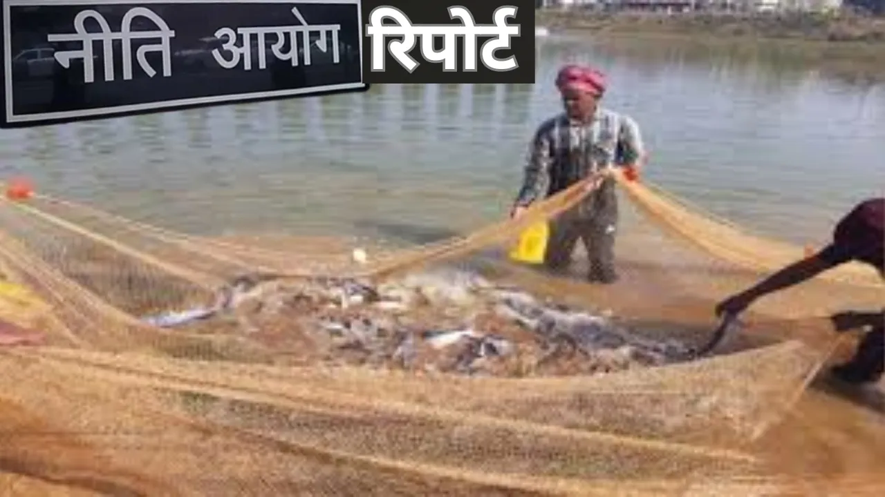 भारत की समुद्री अर्थव्यवस्था को मजबूत बनाने की जरूरत, जानें क्या कहती है नीति आयोग की रिपोर्ट