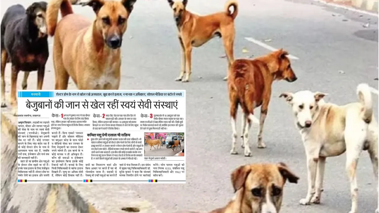 अमृत विचार की खबर का असर: पशुओं के उपचार के नाम से चल रहे नियम विरुद्ध NGO, DM ने लिया संज्ञान, अब होगी जांच