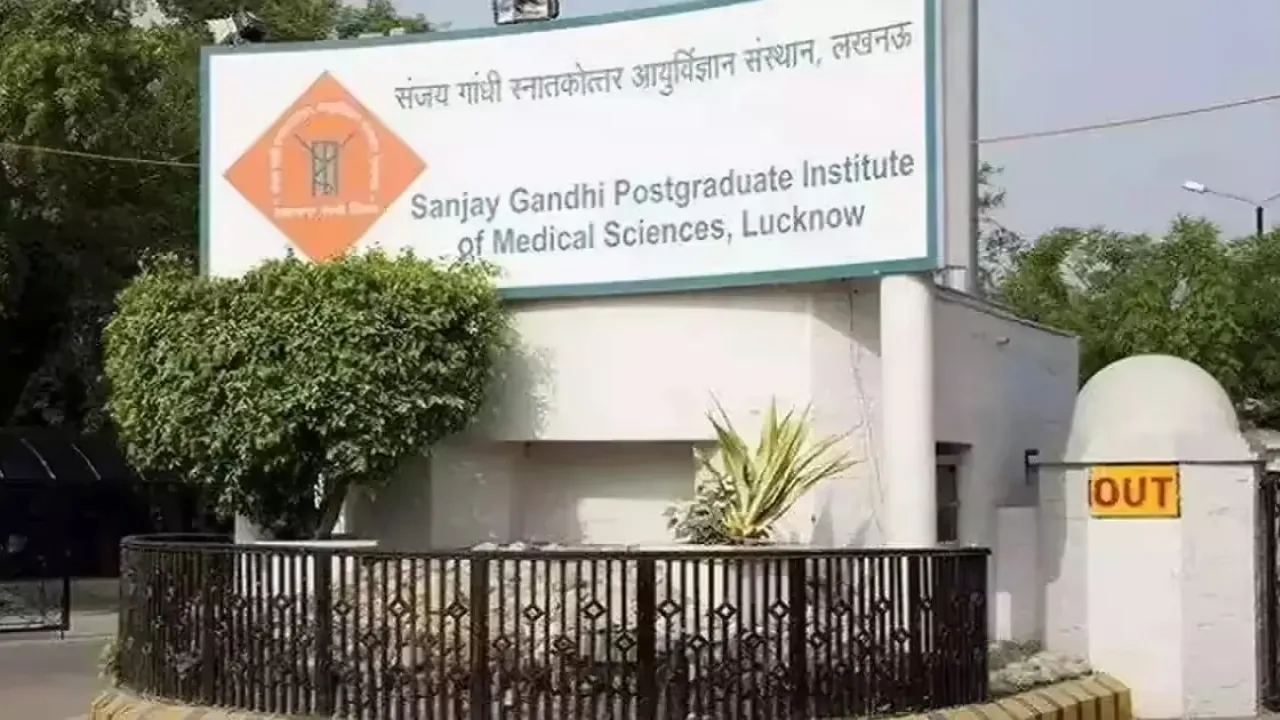 देश में लगभग 38 फीसदी वयस्क फैटी लिवर से प्रभावित... पीजीआई में जल्द खुलेगा फैटी लिवर और मोटापा क्लीनिक