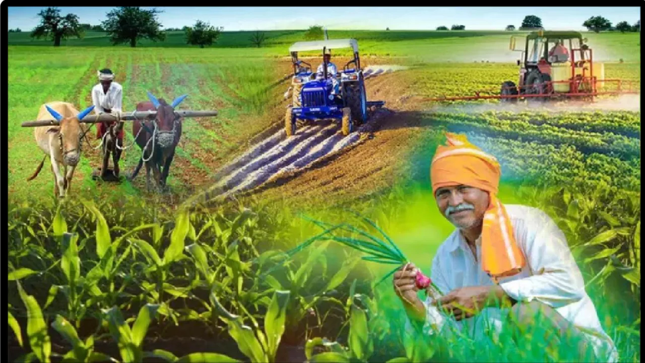किसानों के लिए औषधीय पौधों की कृषि प्रशिक्षण का विशेष आयोजन, 13 राज्यों के 34 जिलों से 53 प्रतिभागी ले रहे हैं हिस्सा