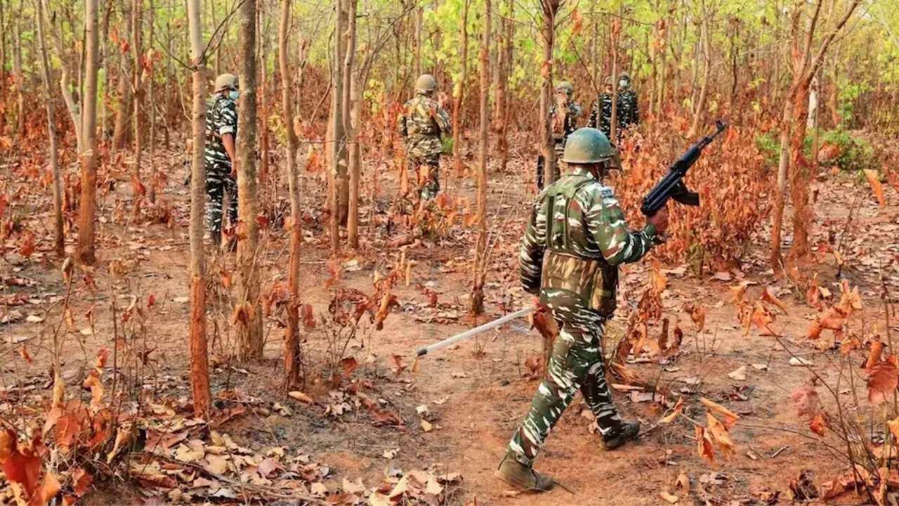 Chhattisgarh News: बीजापुर के जंगलों से भारी मात्रा में विस्फोटक बरामद, चलाया जा रहा सर्च अभिायन