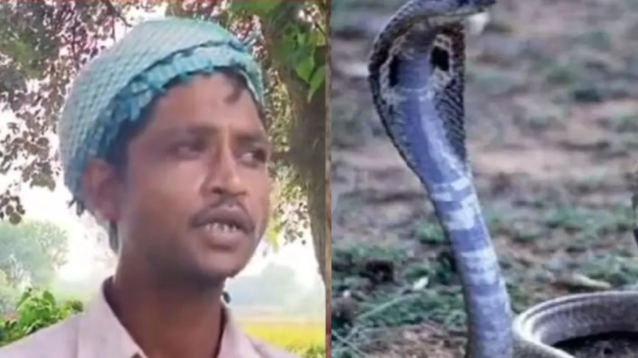 मेरी पत्नी नागिन है... रात को फुफकारती है, सीतापुर से सामने आया अजीबो गरीब मामला