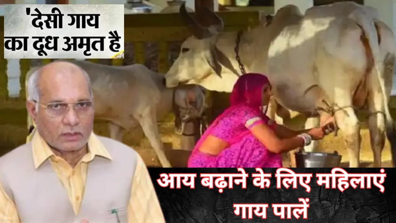 आय बढ़ाने के लिए महिलाएं पालें गाय... बलो मंत्री धर्मपाल,  दीपावली मेले में बच्चों संग मनाई खुशियां