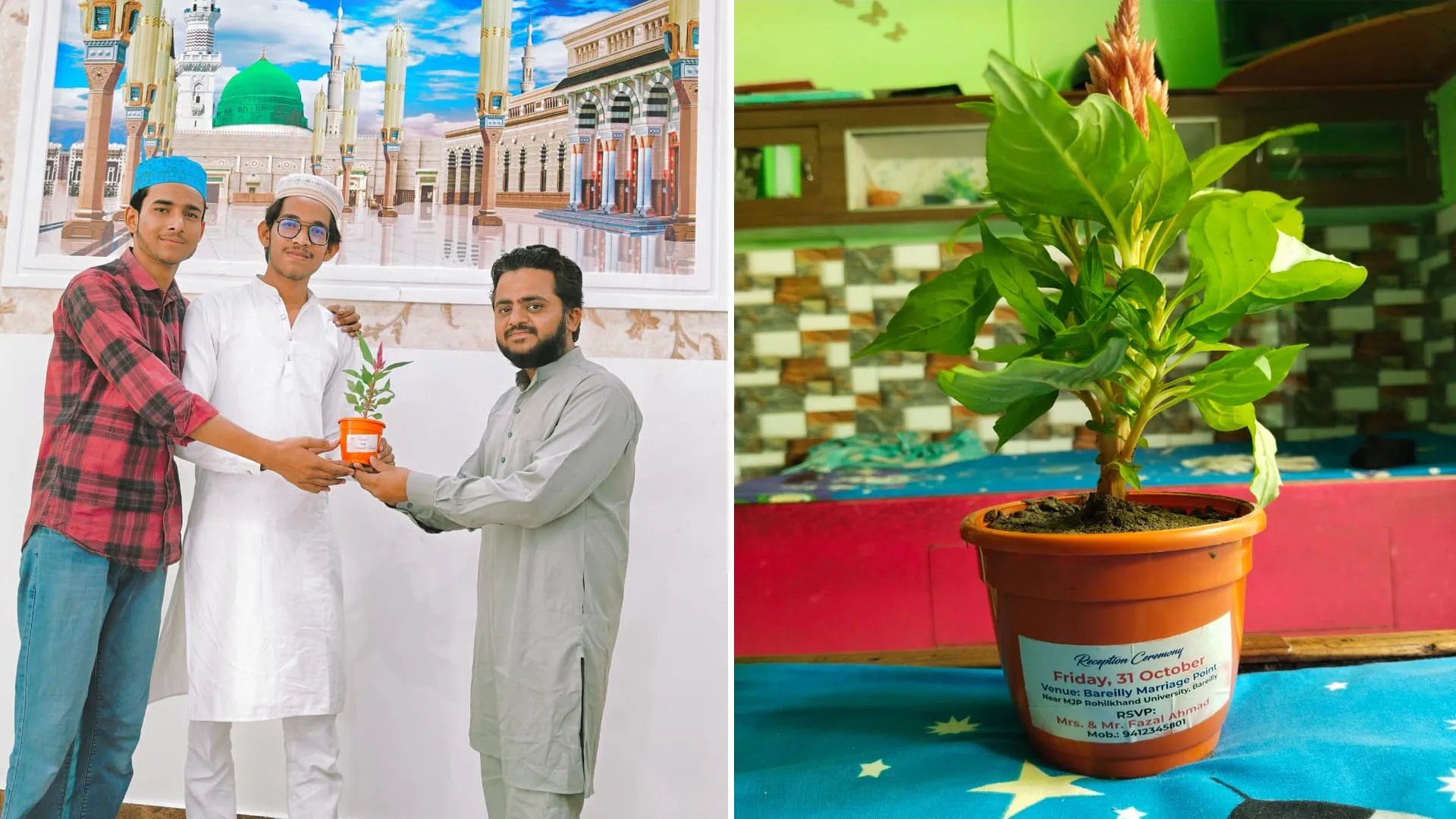 पर्यावरण संरक्षण : विवाह की धूम को संदेश में बदला...गमले में पौधा लगाकर शादी की दावत दे रहे फैसल
