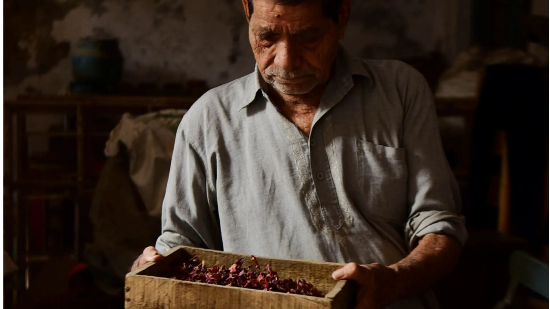 Untitled design (12)