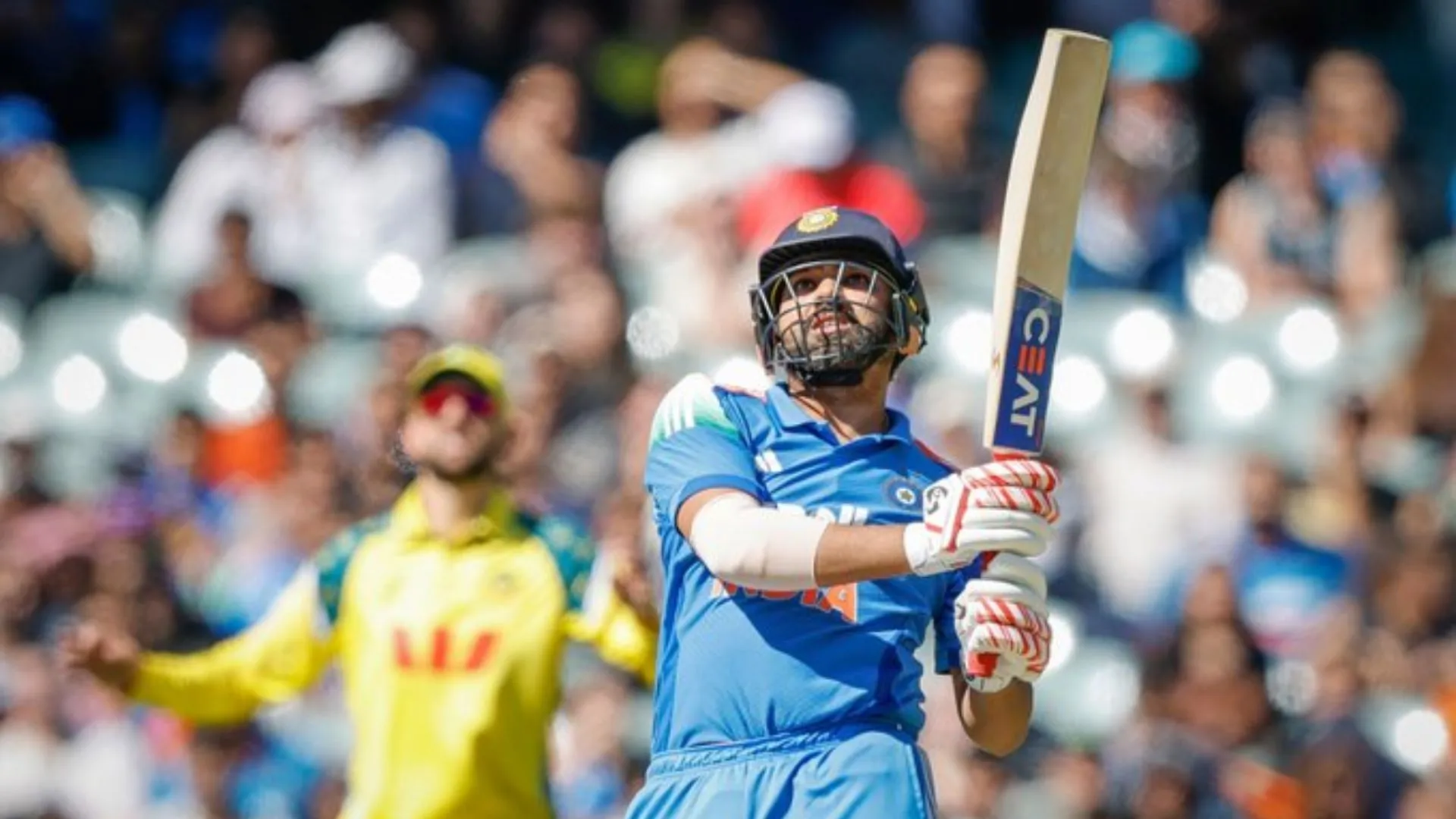 Untitled design (13)