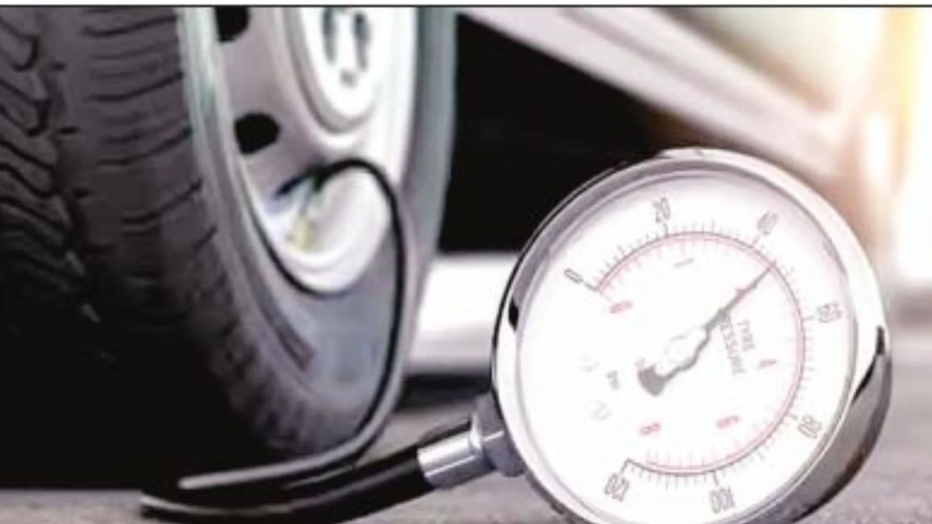 Untitled design (18)