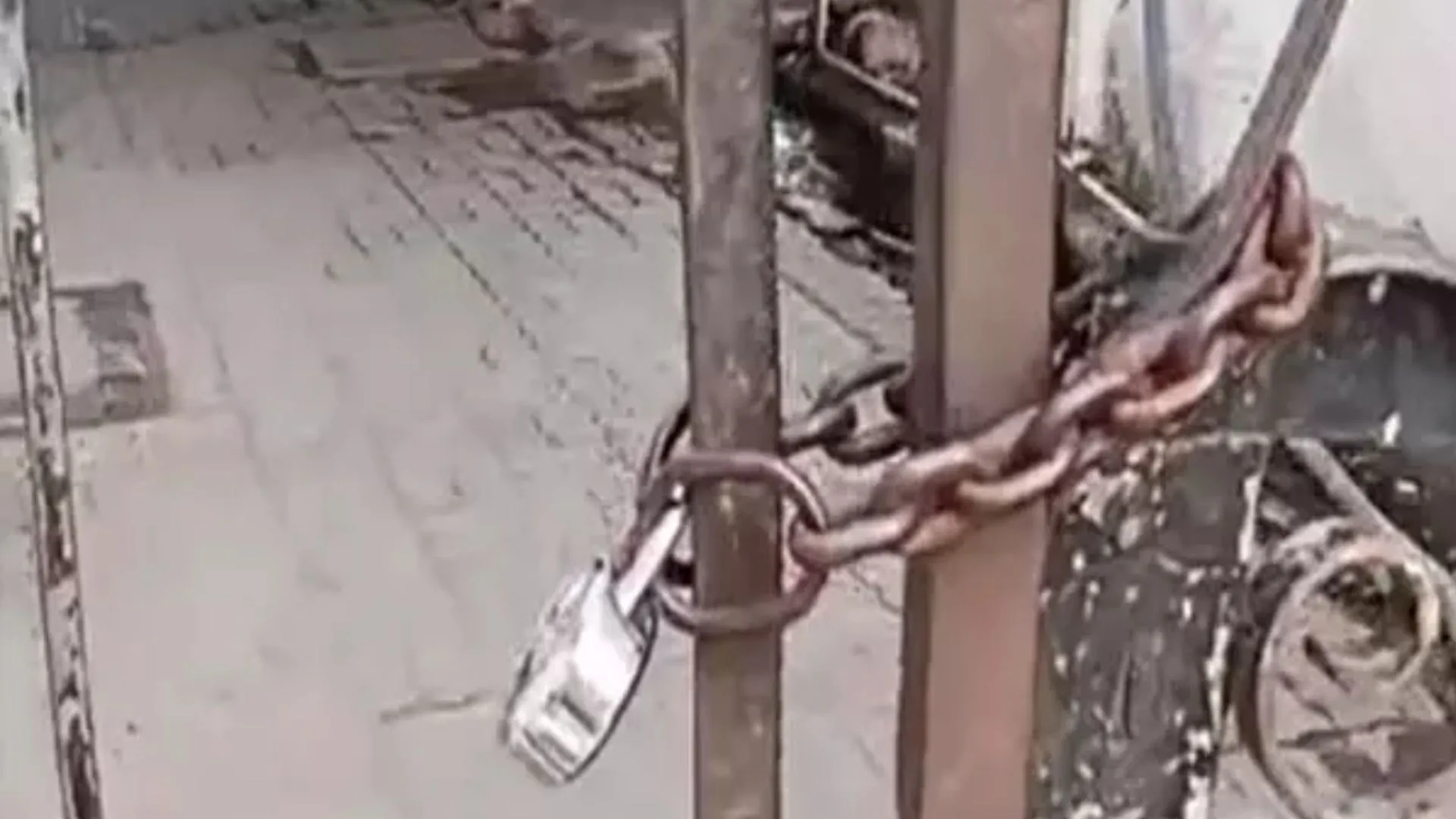  नगर निगम मुख्यालय, जोन कार्यालयों पर जड़ा ताला... कर्मचारियों का प्रदर्शन, कामकाज ठप 